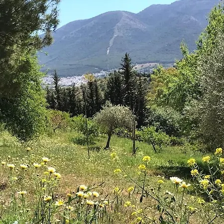Apartment Penthouse Apartment, Cortijo Fruitful Hills *