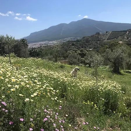 Penthouse Apartment, Cortijo Fruitful Hills *