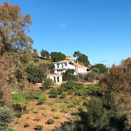 Penthouse Apartment, Cortijo Fruitful Hills Malaga
